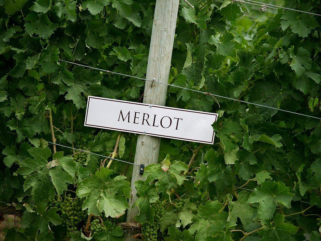 Бордо и Мерло: нерушимый союз