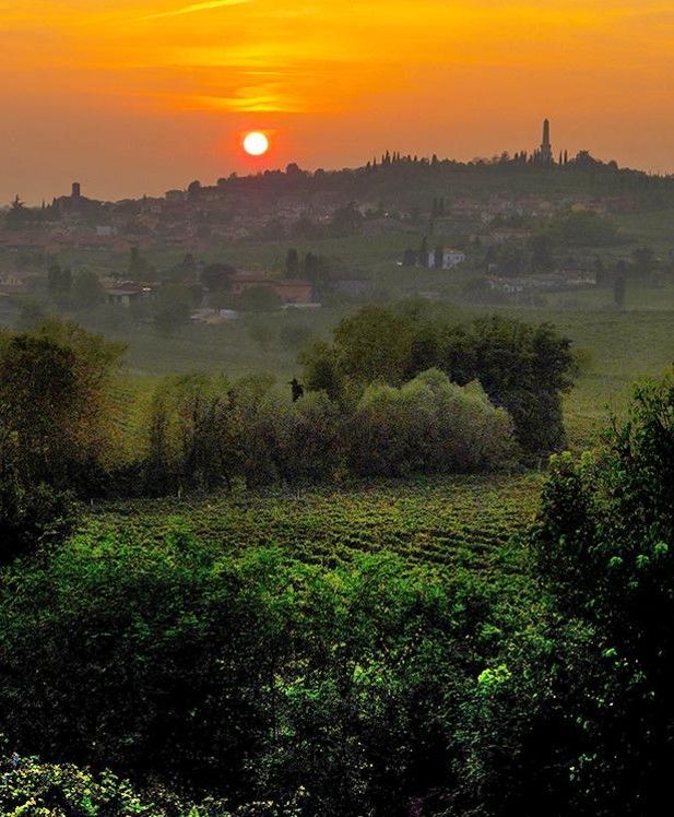 Бардолино — яркие красные вина Венето