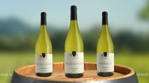 Выразительные и благородные оттенки Шардоне в коллекции авторских вин